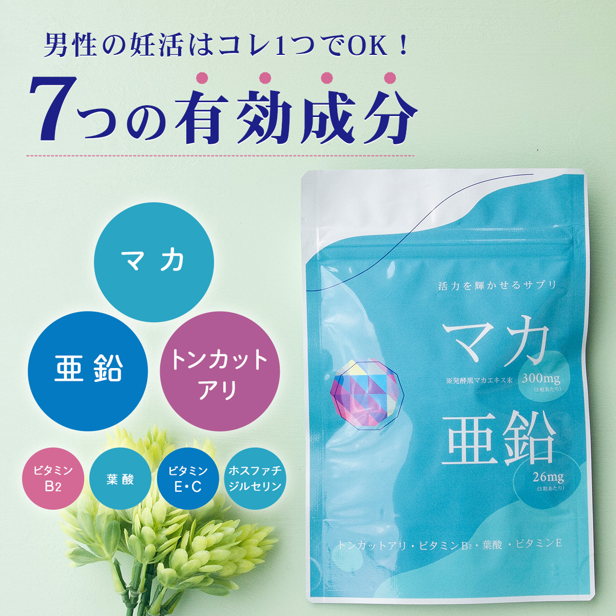 マカ+亜鉛サプリメント