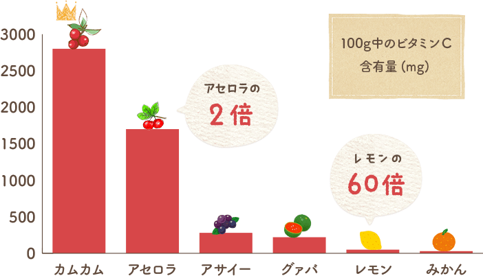 100g中のビタミンC含有量(mg)