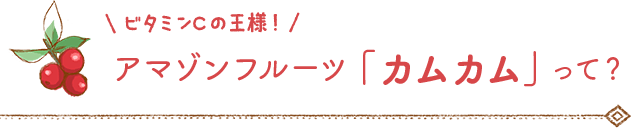 ビタミンCの王様！アマゾンフルーツ「カムカム」って？