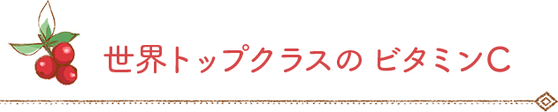 世界トップクラスのビタミンC