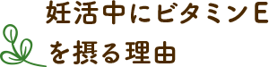 妊活中にビタミンEを摂る理由