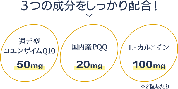 3つの成分をしっかり配合　還元型コエンザイムQ10 50mg/国内産PQQ 20mg/L-カルニチン 100mg