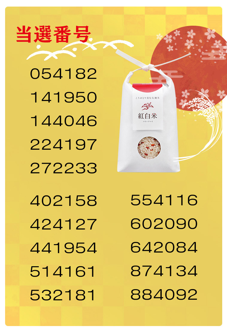 054182・141950・144046・224197・272233・402158・424127・441954・514161・532181・554116・602090・642084・874134・884092