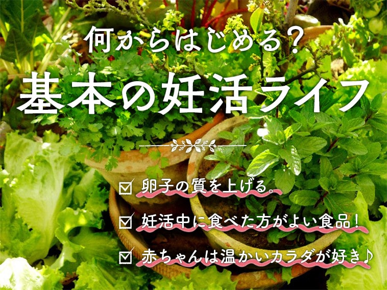 妊活に必要な基本の栄養