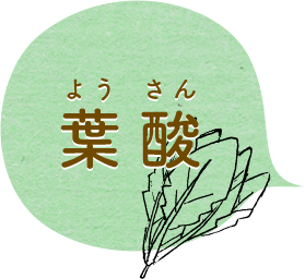 葉酸 ようさん