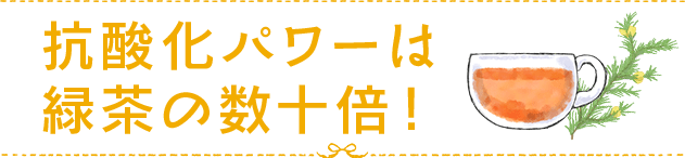 抗酸化パワーは緑茶の数十倍！