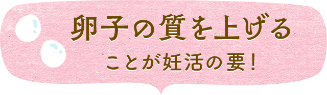 卵子の質を上げることが妊活の要