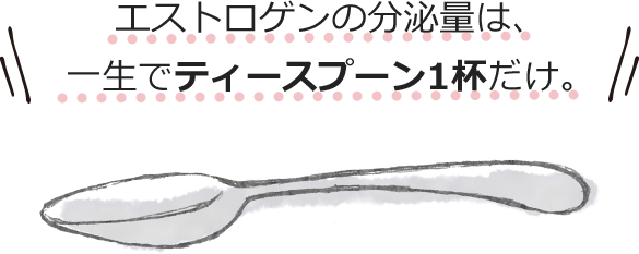 エストロゲンの分泌量は、一生でティースプーン1杯だけ。