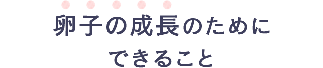 卵子の成長のためにできること