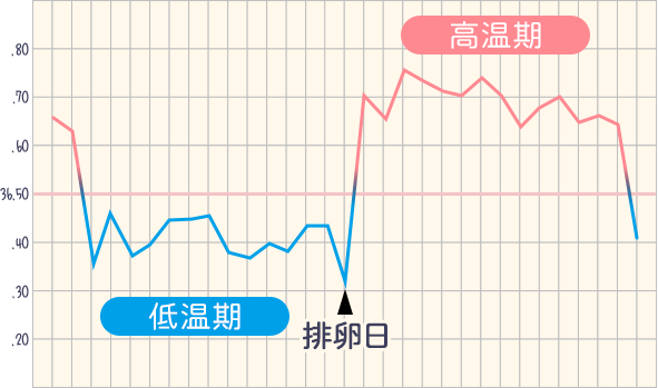 基礎体温グラフ