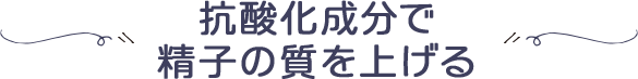 抗酸化成分で精子の質を上げる