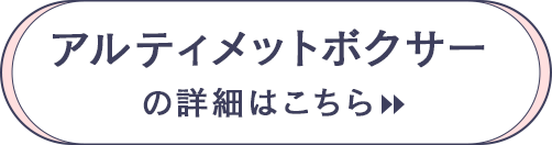 アルティメットボクサーの詳細はこちら