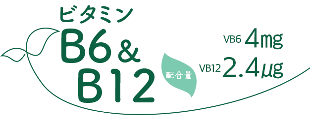 ビタミンB6　配合量4㎎　・ビタミンB12　配合量2.4㎍
