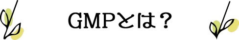 GMPとは？