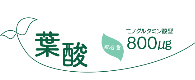 葉酸　配合量　モノグルタミン酸型800㎍