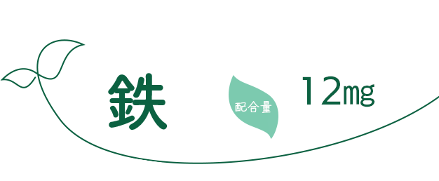 鉄　配合量12㎎