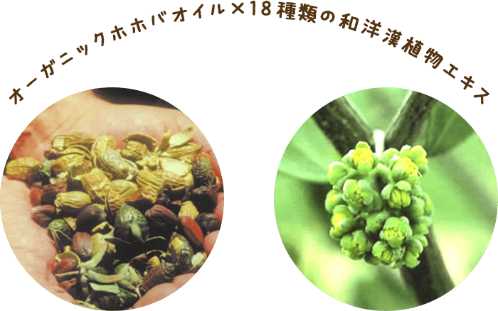 オーガニックホホバオイル×18種類の和洋漢植物エキス