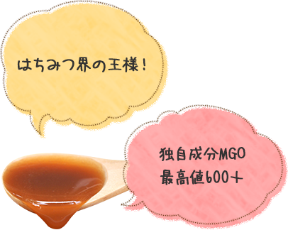 はちみつ界の王様!抗菌・抗酸化 抗菌成分MGO最高値600+