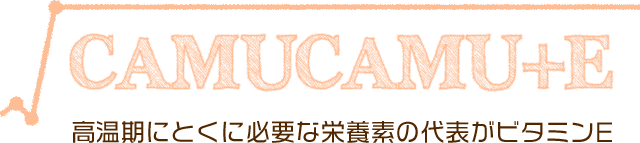 高温期にとくに必要な栄養素の代表がビタミンE！