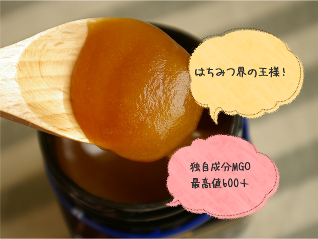 マヌカハニーMGO600+