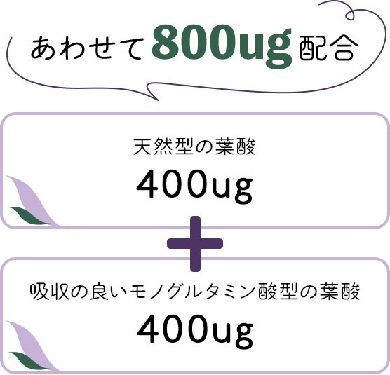 天然型の葉酸400μg＋吸収の良いモノグルタミン酸型の葉酸400μg=あわせて800μg配合