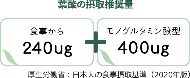 葉酸の摂取推奨量　食事から240μg＋モノグルタミン酸型葉酸400ug　厚生労働省：日本人の食事摂取基準（2020年版）