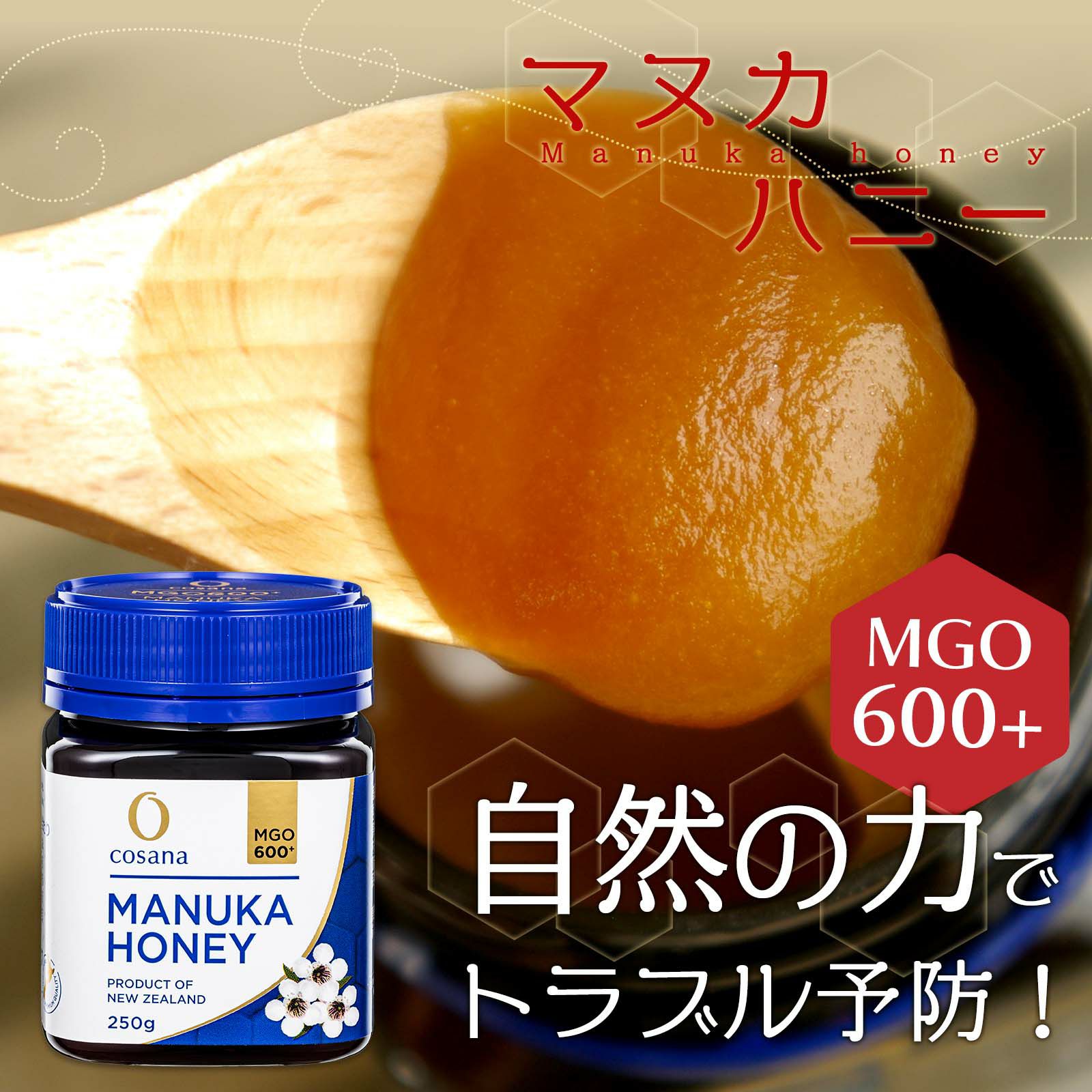 マヌカハニー MGO550+ 【250g】
