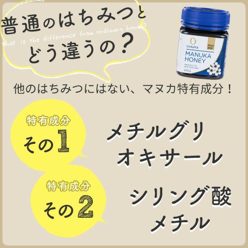 メチオグリオキサール・シリングサンメチル