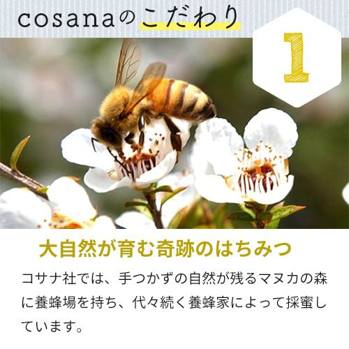 大自然がはぐくむはちみつ
