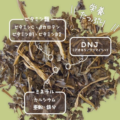 桑の葉茶の栄養成分