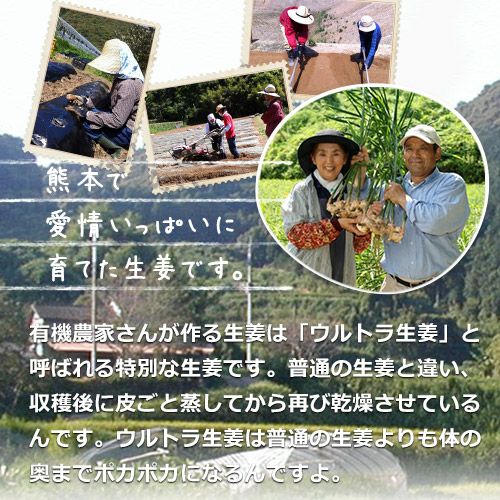 熊本で愛情いっぱいに育つオーガニック生姜
