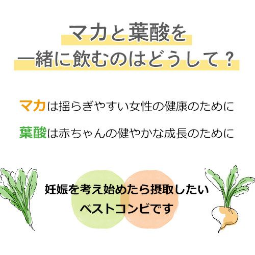 マカと葉酸を一緒に飲むのはどうして？