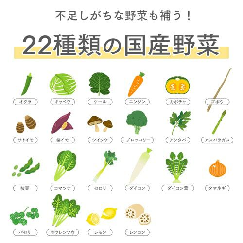22種類の国産野菜