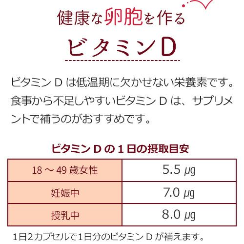 健康な卵胞を作るビタミンD