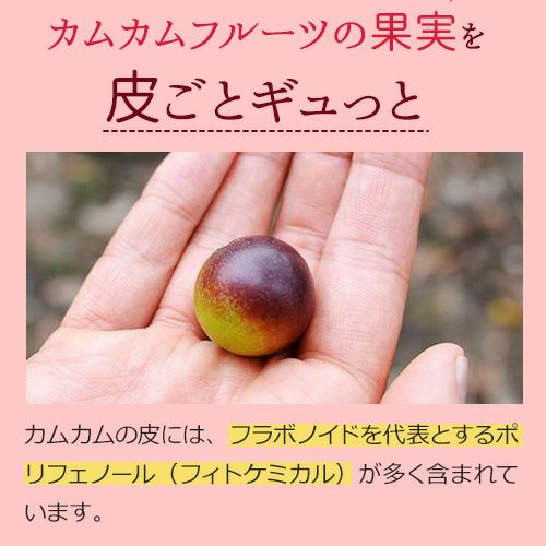 ビタミンCが最大限に補える