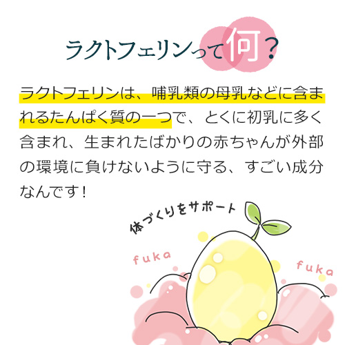 ラクトフェリンってなに？