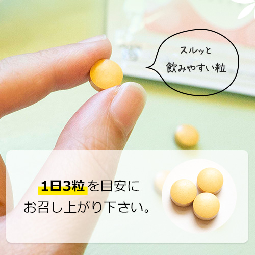 1日3粒を目安に
