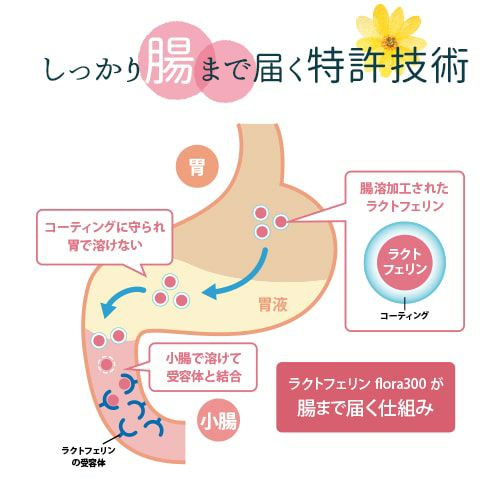 腸まで届く特許技術