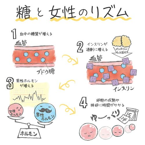 糖と女性のリズム