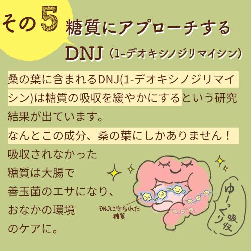 摂りすぎてしまう糖質にアプローチ