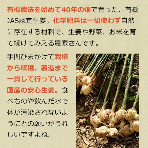 自然に恵まれた土地で育つオーガニック生姜