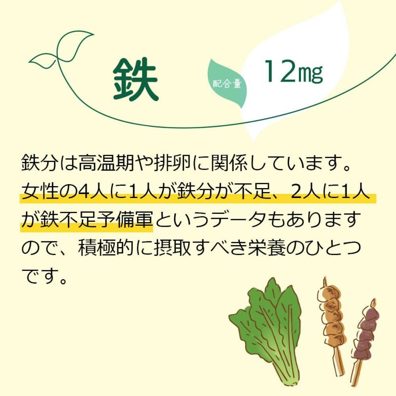 鉄　配合量12㎎