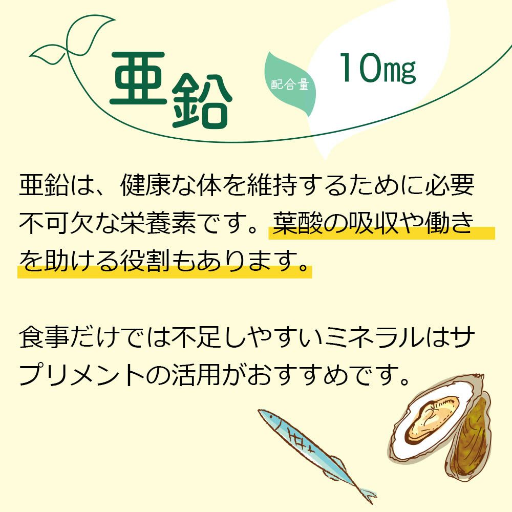 亜鉛　配合量10㎎