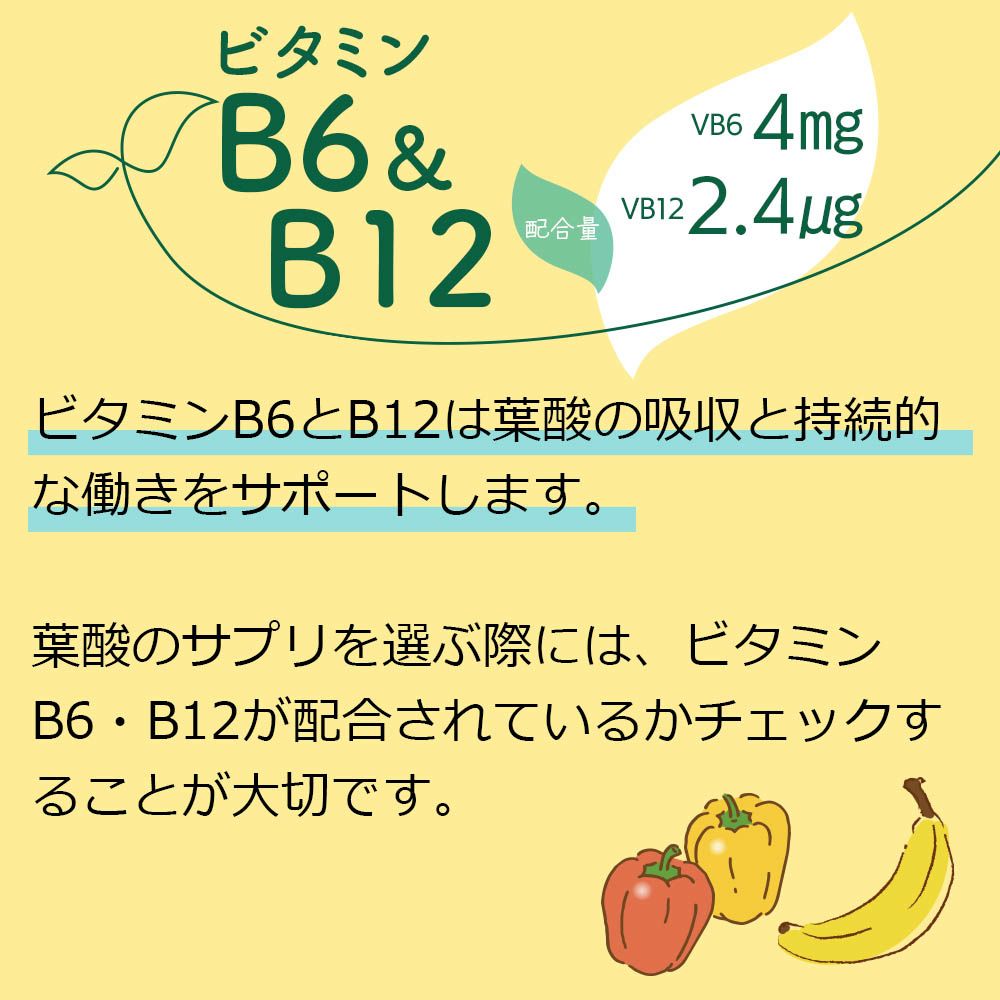 ビタミンB6　配合量4㎎・ビタミンB12　配合量2.4㎍
